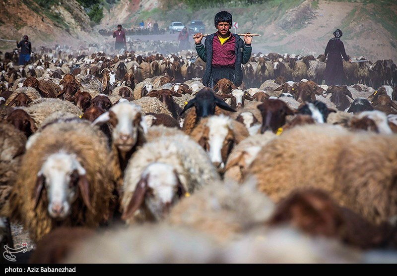 استان خراسان جنوبی جزو 8 استان درگیر با خشکسالی است؛ خبرهای خوب برای عشایر استان