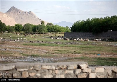 خشک شدن سراب خضرالیاس در کرمانشاه