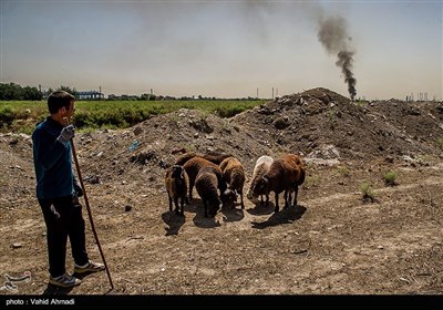 روز دوم آتش سوزی پالایشگاه تهران