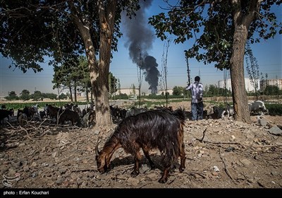 روز دوم آتش سوزی پالایشگاه تهران