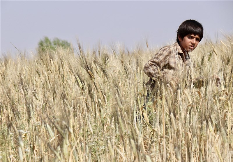 فیلم سینمایی