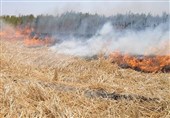 جریمه 8 میلیون تومانی برای عامل آتش زدن اراضی کشاورزی