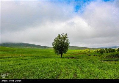 طبیعت منطقه ارسباران