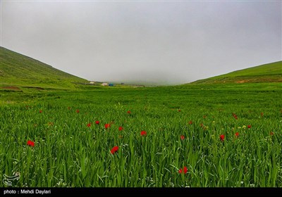 طبیعت منطقه ارسباران