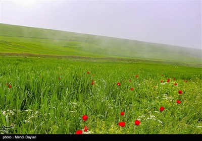 Iran&apos;s Beauties in Photos: Arasbaran