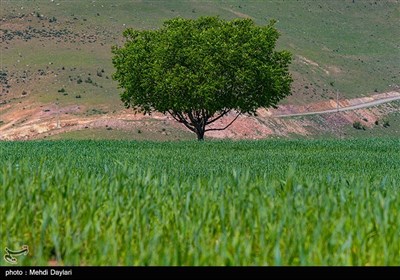 Iran&apos;s Beauties in Photos: Arasbaran