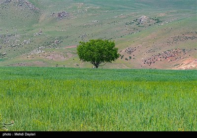 Iran&apos;s Beauties in Photos: Arasbaran