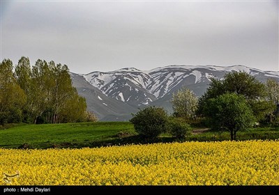 طبیعت منطقه ارسباران