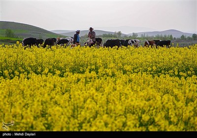 طبیعت منطقه ارسباران