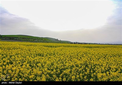 طبیعت منطقه ارسباران