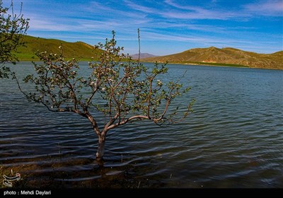 طبیعت منطقه ارسباران