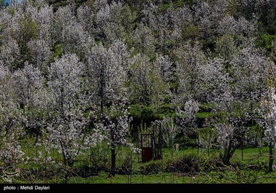 طبیعت منطقه ارسباران