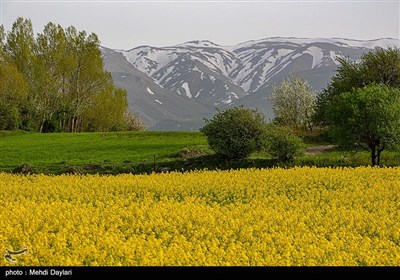 طبیعت منطقه ارسباران