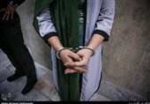 بازداشت خواهران دوقلو حین سرقت در تجریش