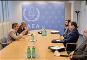 Iran, IAEA Discuss JCPOA in Vienna