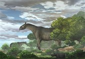 New Fossils Reveal One of Largest Land Mammals Ever Found