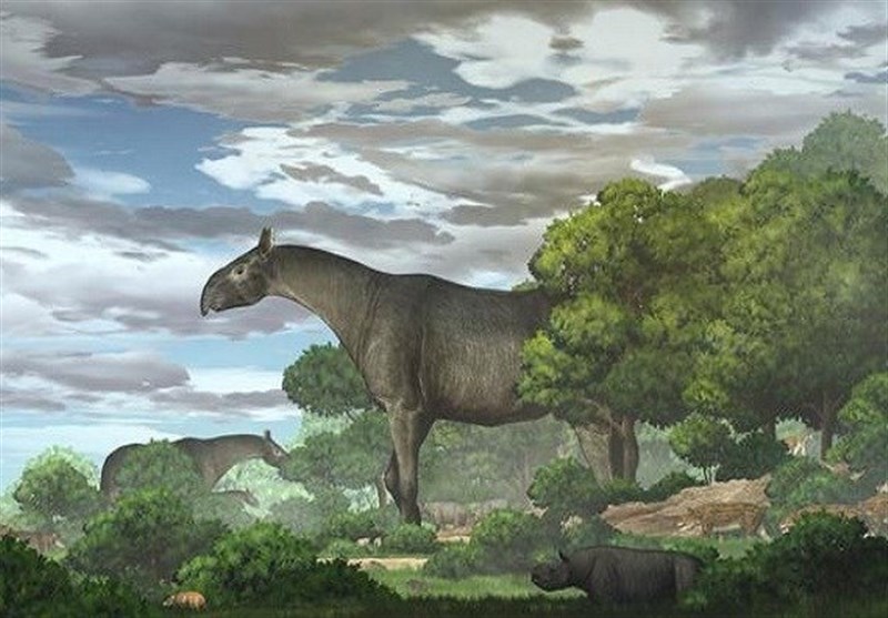 New Fossils Reveal One of Largest Land Mammals Ever Found