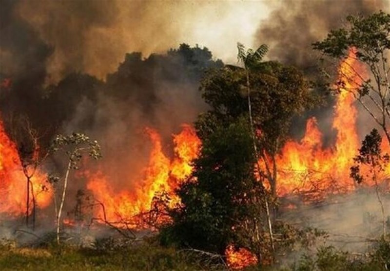 شعله‌های آتش همچنان جنگل‌های نارک گچساران را می‌سوزاند