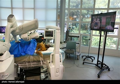 اولین عمل جراحی رباتیک از راه دور ایران و تست حیوانی ربات بومی سازی شده جراحی از راه دور سینا ساخت متخصصان ایران