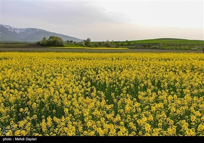 طبیعة منطقة &quot;ارسباران&quot; شمال غرب إیران