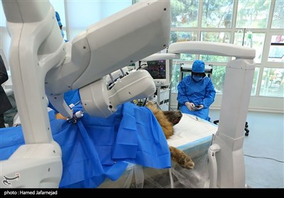 تست اولین عمل جراحی رباتیک از راه دور ایران و تست حیوانی ربات بومی سازی شده جراحی از راه دور سینا ساخت متخصصان ایران ربات بومی سازی شده جراحی از راه دور سینا ساخت متخصصان ایران 