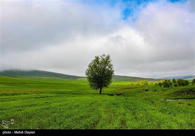 طبیعة منطقة &quot;ارسباران&quot; شمال غرب إیران