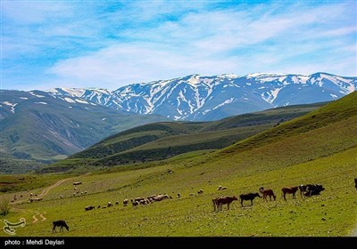 طبیعة منطقة &quot;ارسباران&quot; شمال غرب إیران