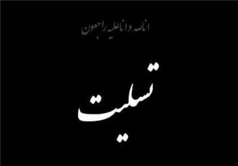 پیام تسلیت سخنگوی پلیس و فرمانده انتظامی تهران به مناسبت درگذشت خبرنگاران &quot;ایرنا و &quot;ایسنا&quot;