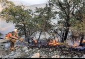 8000 مترمربع از مناطق جنگلی فندقلو نمین در آتش سوخت