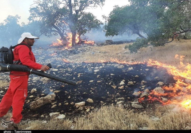 تابستان گرم و خشک فرصتی برای خودنمایی آتش در جنگل‌های زاگرس؛ 504 هکتار از مراتع کردستان در آتش سوخت