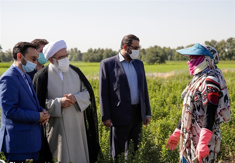 واکنش تند تولیت آستان قدس به تأخیر 3 ماهه در پرداخت حقوق کارگران/&quot;آیا مدیران حاضرند ‌چند روز حقوقشان به تاخیر بیفتد؟ + فیلم