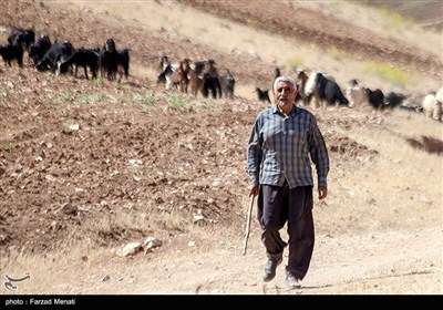 آیین افتتاح آبرسانی به روستای محروم تنوره - کرمانشاه