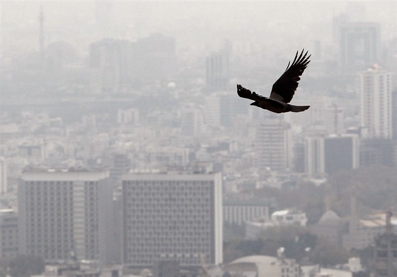 استان مرکزی روی موج آلودگی/ نهمین روز متوالی ناسالم در اراک به ثبت رسید