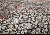 بحران خشکسالی در ایران| رودخانه‌های لرستان خشک شدند / &quot;کشکان&quot; ‌از نفس افتاد + تصاویر