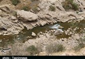 خشکسالی احتمال شیوع گسترده طاعون در اصفهان را افزایش داده است