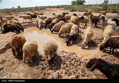 بحران آب در روستاهای بخش اسماعیلیه - خوزستان