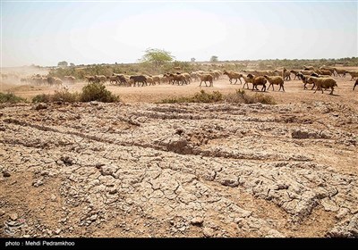 بحران آب در روستاهای بخش اسماعیلیه - خوزستان