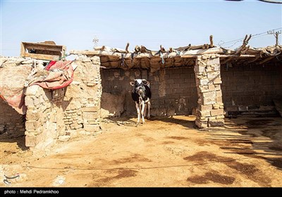 بحران آب در روستاهای بخش اسماعیلیه - خوزستان