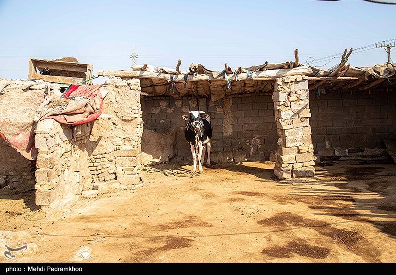 گذران سخت زندگی در پرجمعیت ترین روستای شهرستان دنا / مردم بنستان از هرگونه امکاناتی محروم هستند