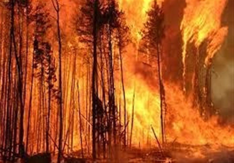 آتش سوزی گسترده باعث تخلیه غرب کانادا شد