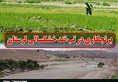 برنج‌کاری در تب تند خشکسالی استان لرستان/ جدالی به قیمت نابودی مزارع و رودخانه‌ها+فیلم