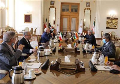  دیدار ظریف و همتای هندی در تهران 