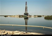 افزایش میادین نفتی در تالاب هورالعظیم بدون مجوز سازمان حفاظت محیط زیست صورت گرفته است