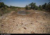 30 درصد آبشخورهای حیات‌وحش در لرستان خشک شد