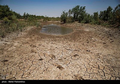  ۳۰ درصد آبشخورهای حیات‌وحش در لرستان خشک شد 