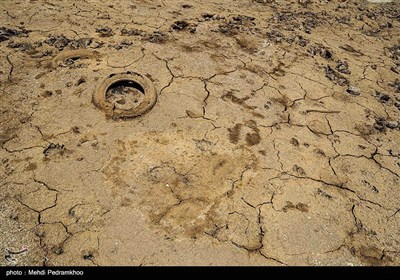 مرگ تدریجی حیات وحش در هورالعظیم