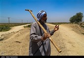 واکاوی بحران خوزستان| 10 علت چرایی تنش آبی در استانِ 10سد/ هورالعظیم سیرآب نیست/ تصمیم غلط استاندار وقت در سال 98