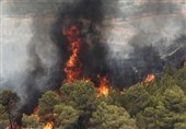 آخرین جزئیات از آتش سوزی جنگل‌های گچساران؛ نارک خاموش شد