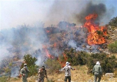 آتش‌سوزی جنگل‌های نارک گچساران همچنان ادامه دارد/ علت آتش‌سوزی هنوز مشخص نیست 