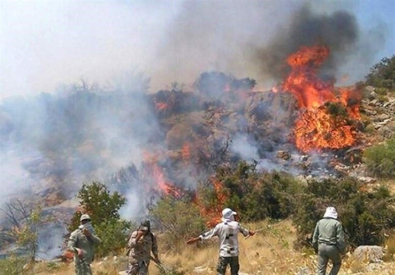 آتش‌سوزی جنگل‌های نارک گچساران همچنان ادامه دارد/ علت آتش‌سوزی هنوز مشخص نیست